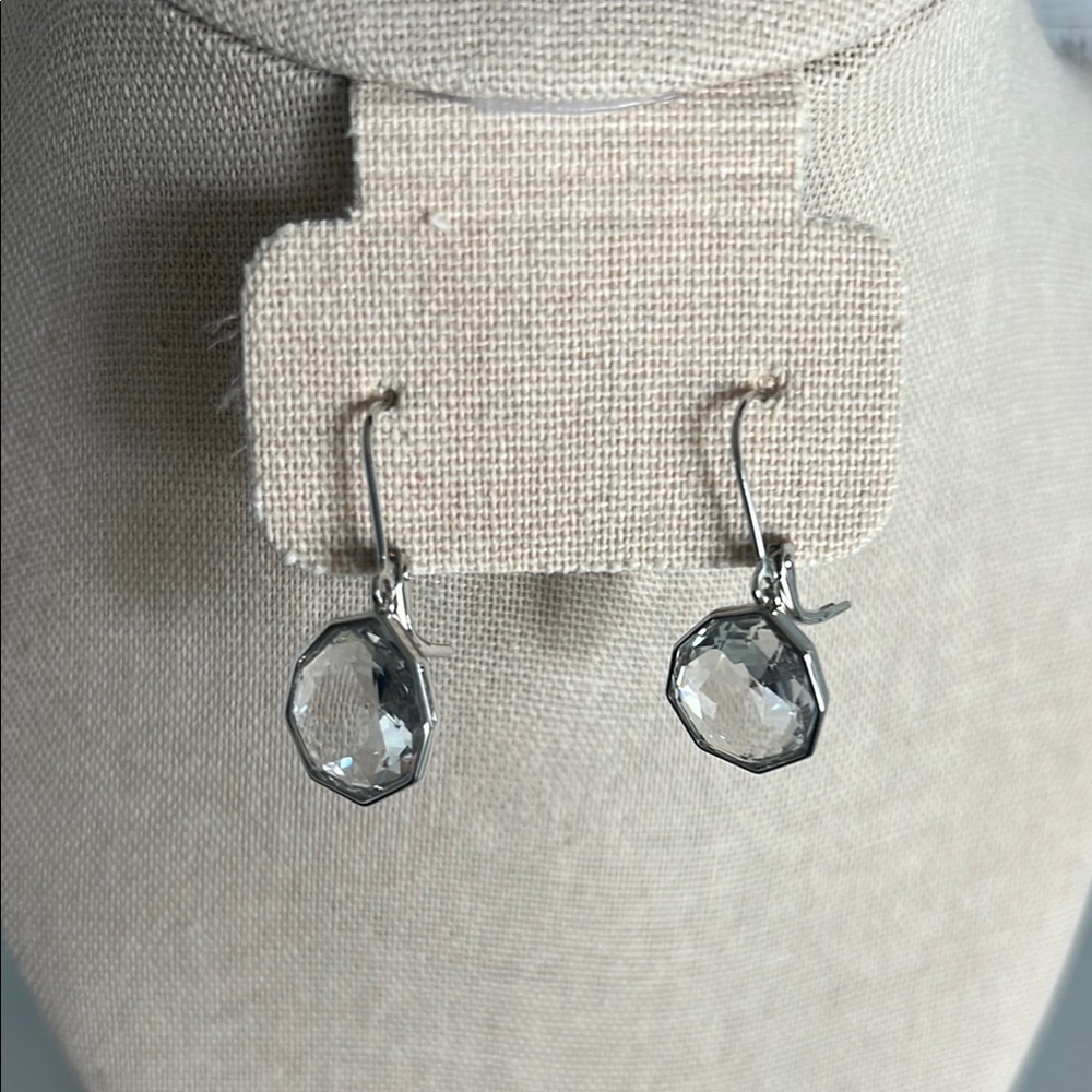 Touchstone Crystal Silver Drop Earrings
